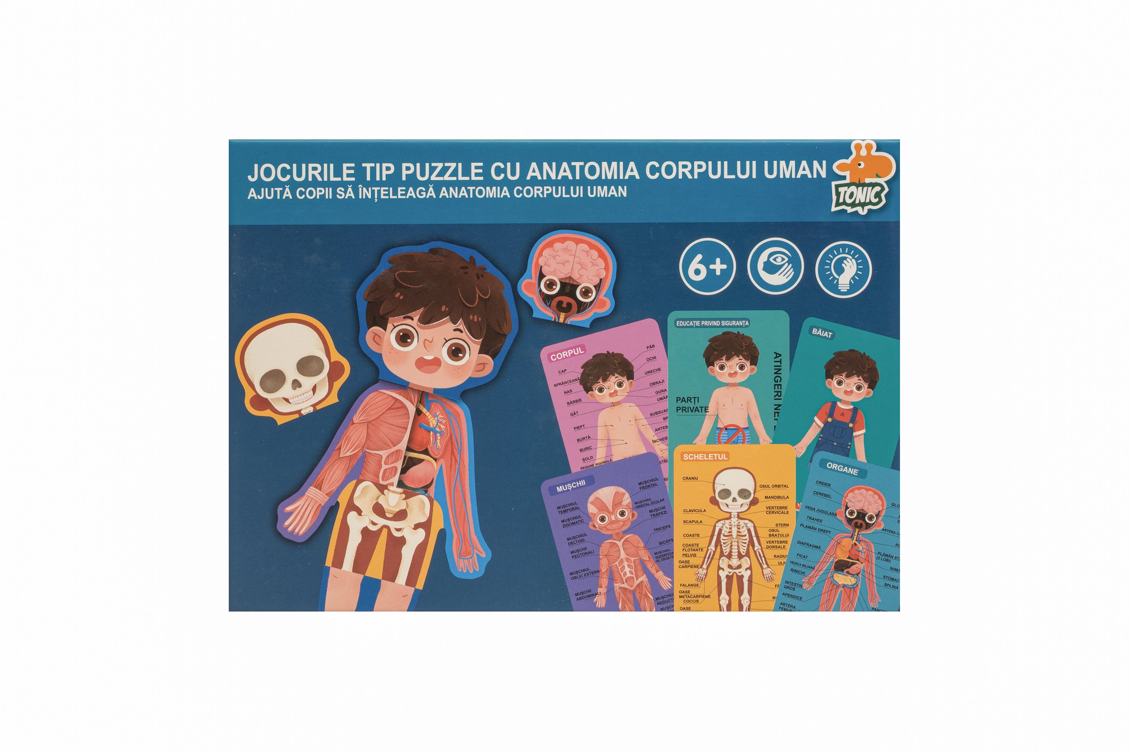 Puzzle anatomie corp uman – băiat, joc educativ pentru copii 6+