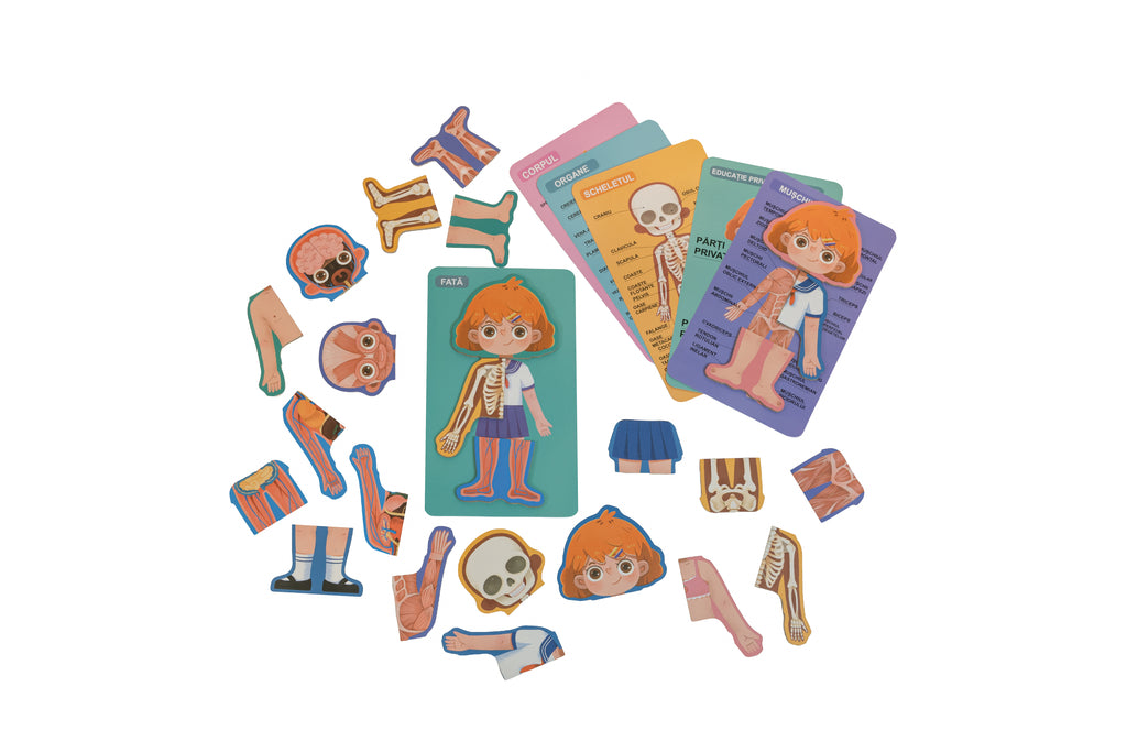 Puzzle „Anatomia corpului uman fete” pentru copii, 6+ ani